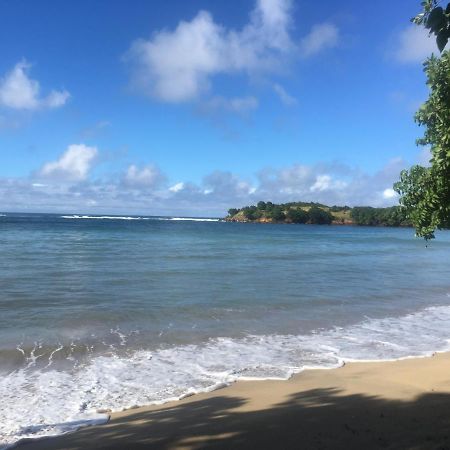 Studio Ana Martinique La Trinité Eksteriør bilde