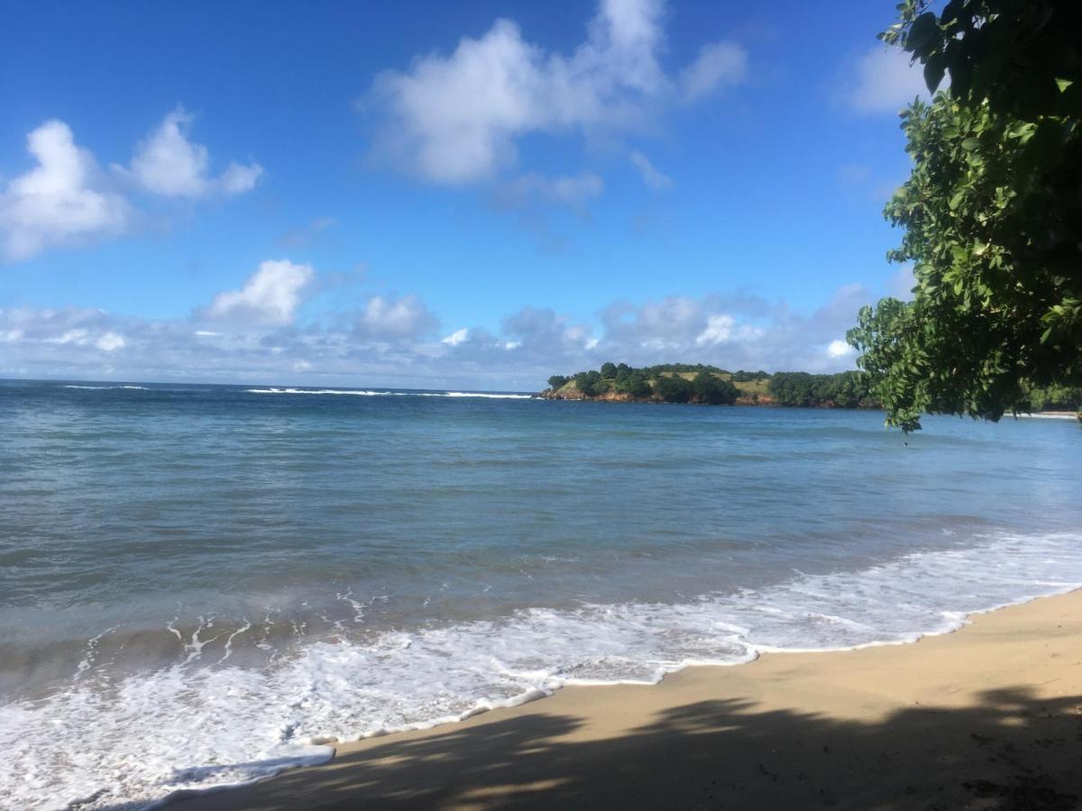 Studio Ana Martinique La Trinité Eksteriør bilde
